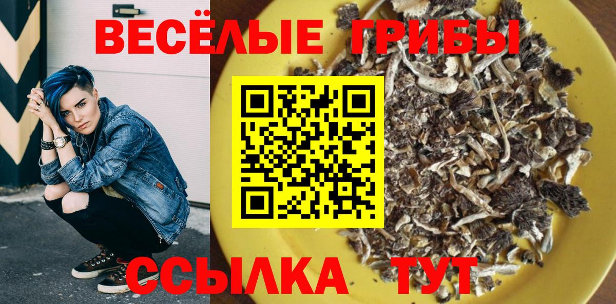 цена наркотик  Вход с VPN  Псилоцибиновые грибы Cubensis  Тула  Псилоцибиновые грибы прущие грибы 