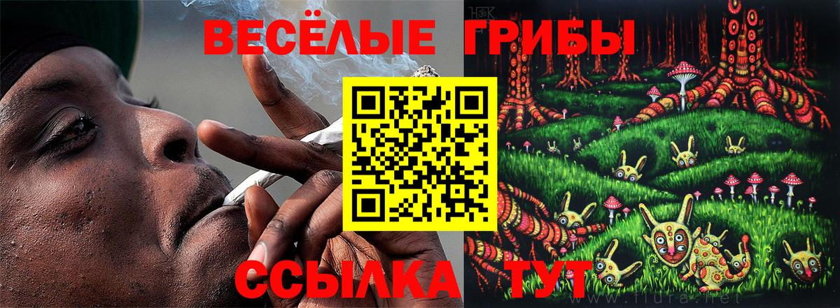 Галлюциногенные грибы Cubensis Тула